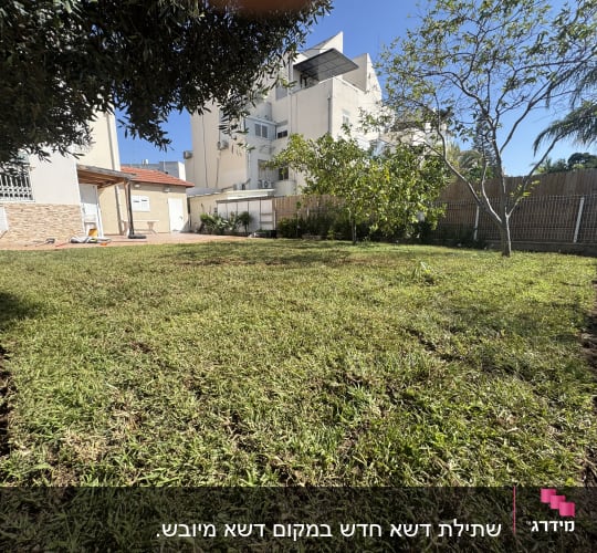 גינה עם דשא ועצים ליד בית מגורים